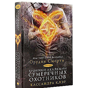 Хроника академии сумеречных охотников. Книга 1