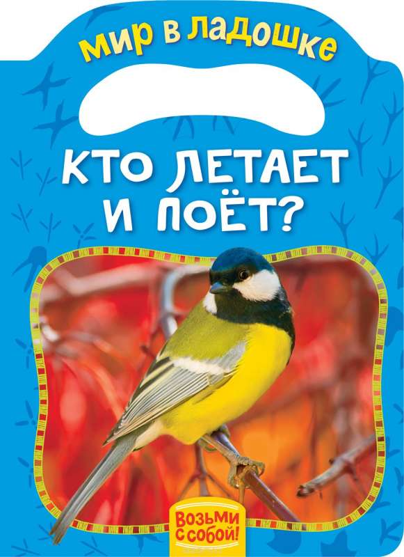 Кто летает и поёт?