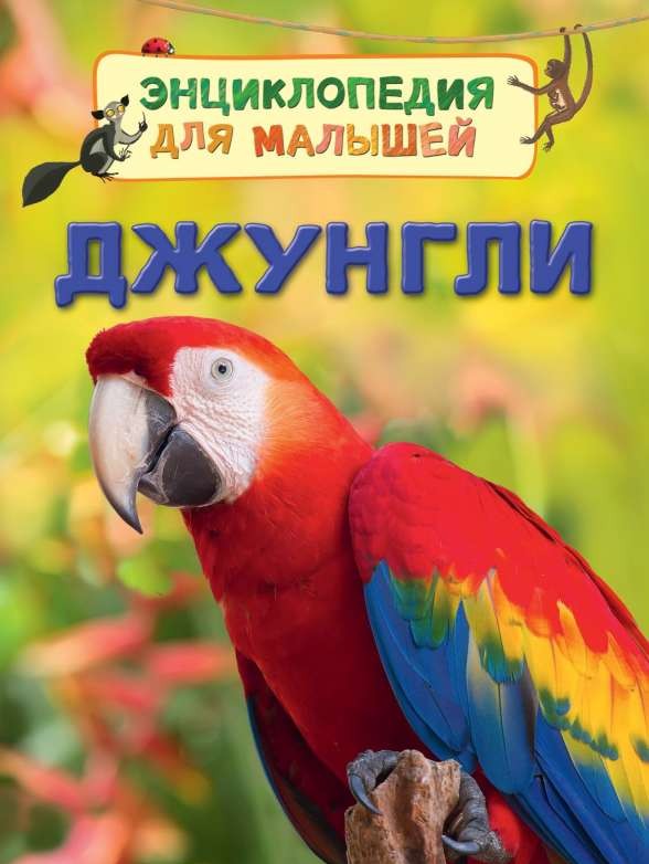 Джунгли