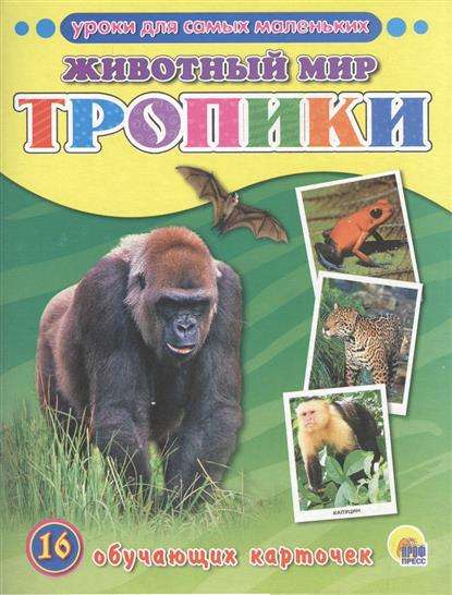 Уроки для самых маленьких. Животный мир. Тропики. 16 обучающих карточек