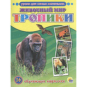 Уроки для самых маленьких. Животный мир. Тропики. 16 обучающих карточек