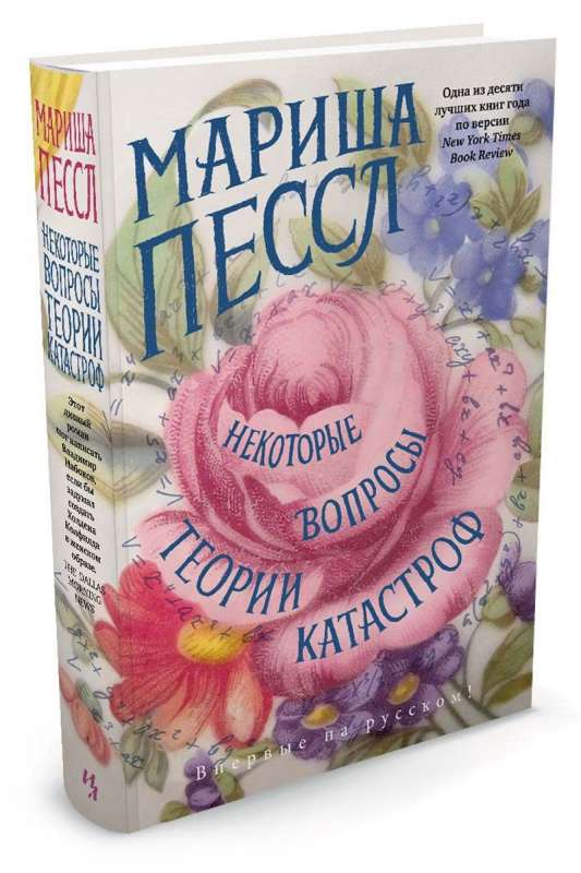 Некоторые вопросы теории катастроф