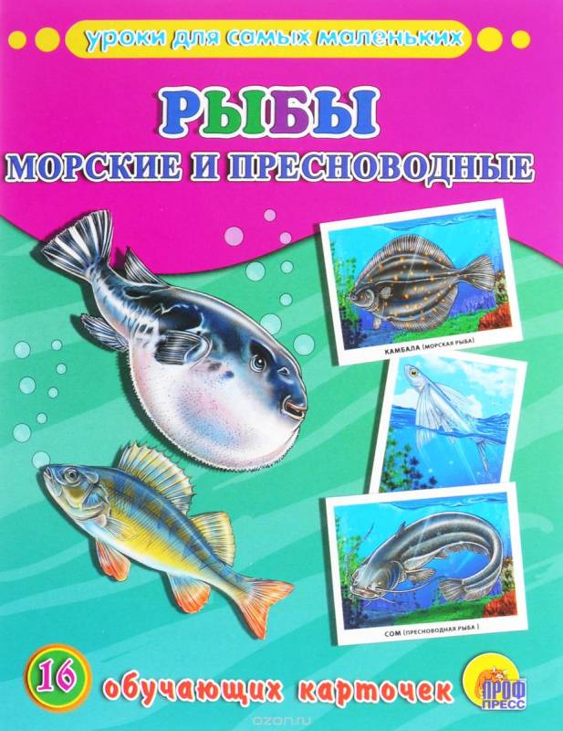 Рыбы. Морские и пресноводные. 16 обучающих карточек