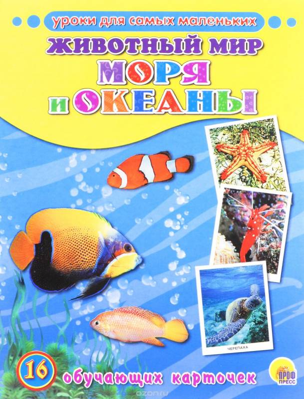 Животный мир. Моря и океаны