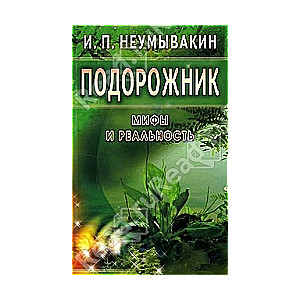 Подорожник. Мифы и реальность