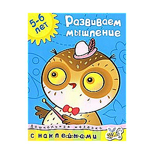 Развиваем мышление. 5-6 лет