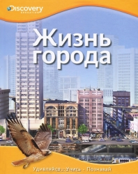 Жизнь города