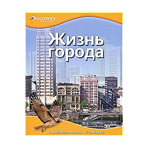 Жизнь города