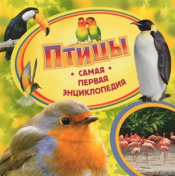 Птицы