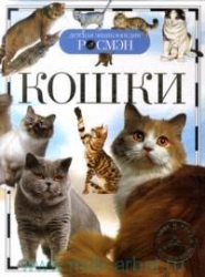 Кошки