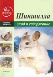 Шиншилла: уход и содержание в домашних условиях