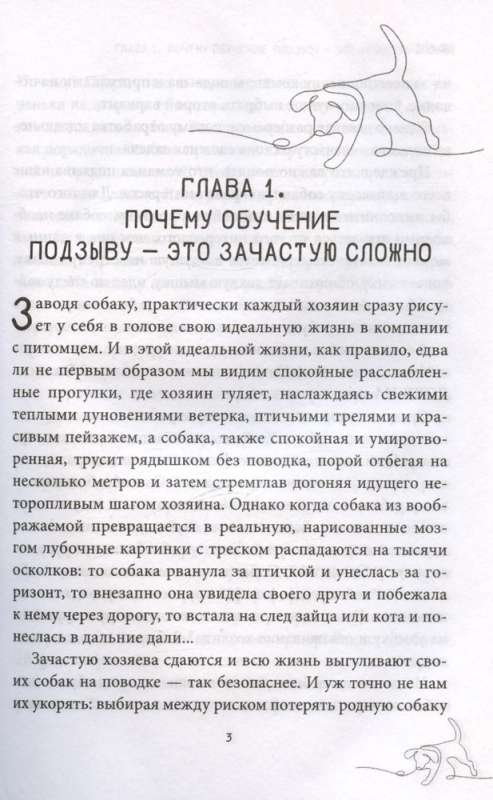 Ко мне! Как научить собаку моментально возвращаться по команде