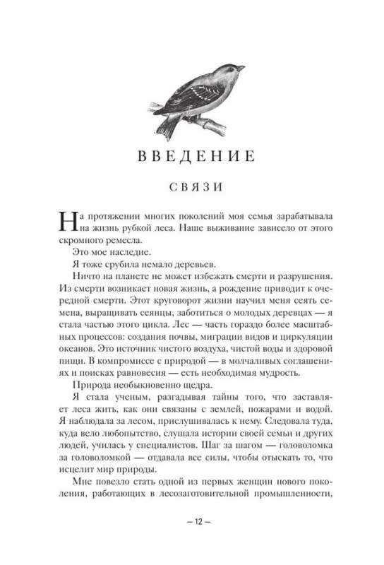 Мудрость леса. В поисках материнского древа и таинственной связи всего живого