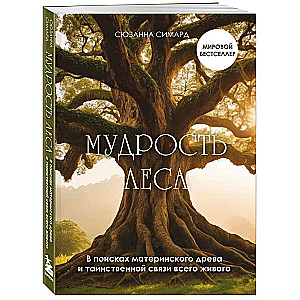 Мудрость леса. В поисках материнского древа и таинственной связи всего живого