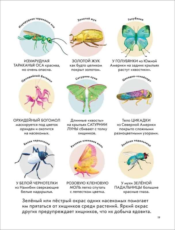 Детская энциклопедия насекомых