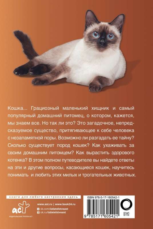 Кошки