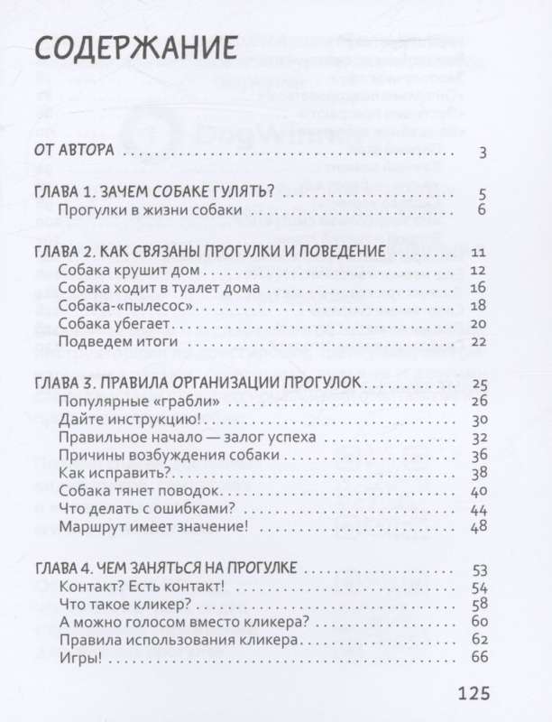 Идем ГУЛаЯТЬ. Нескучные прогулки для питомцев и их хозяев