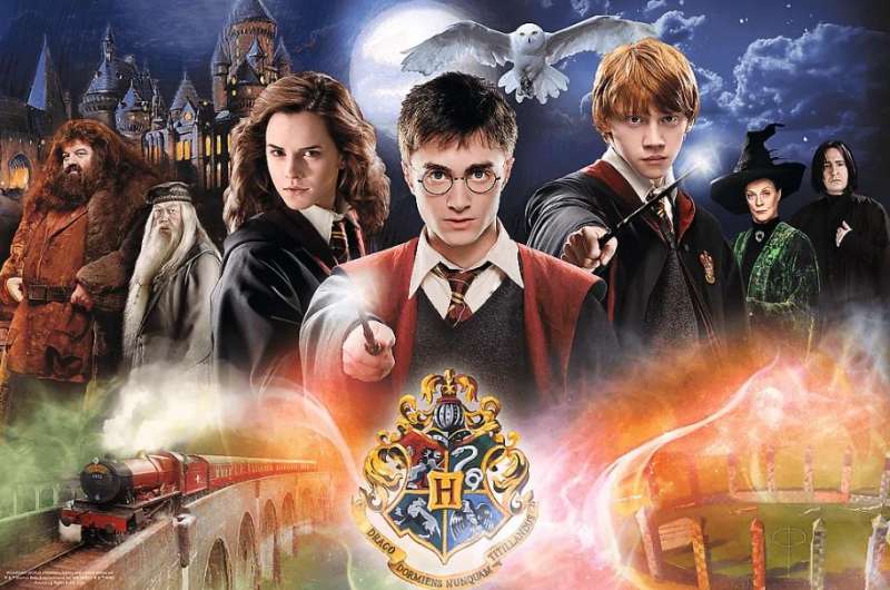 Пазл 300 Trefl: The Secret Harry Potter