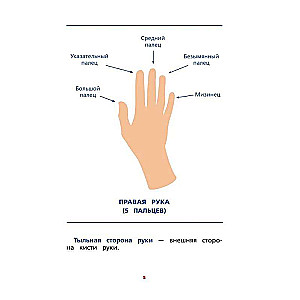 Межполушарное взаимодействие. Развивающие задания для ребёнка