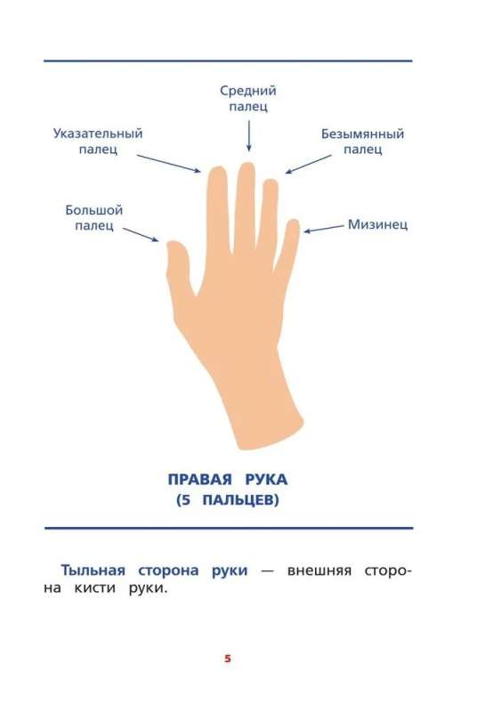 Межполушарное взаимодействие. Развивающие задания для ребёнка