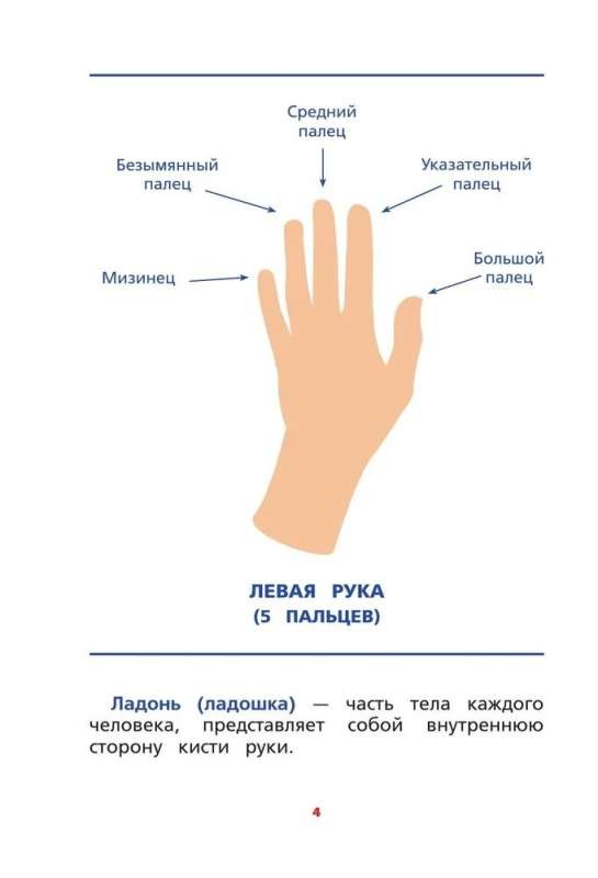 Межполушарное взаимодействие. Развивающие задания для ребёнка