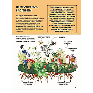 Язык растений. Понимаем, как общаются растения