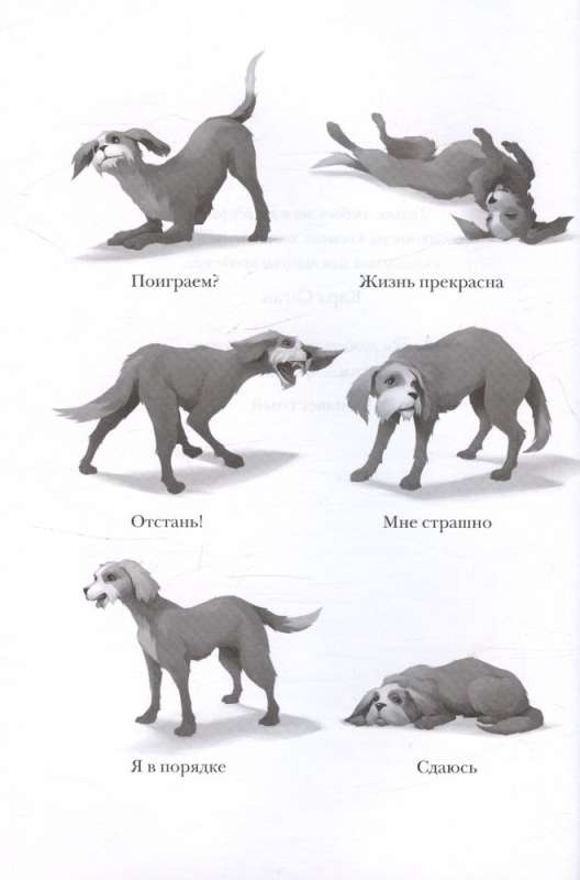 Боб, единственный и неповторимый