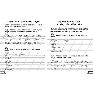 Правила по русскому языку: для начальной школы. 1 - 4 классы