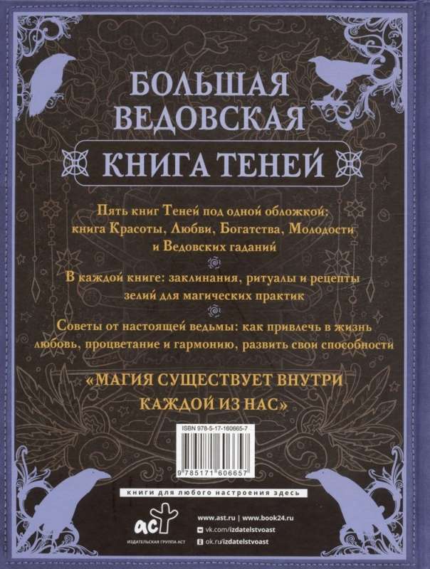 Большая ведьмовская книга заклинаний, ритуалов и обрядов. Магические практики. Книга теней