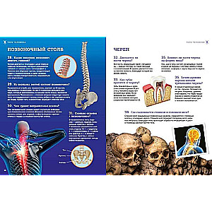 Школьная энциклопедия. Тело человека. 200 вопросов и ответов