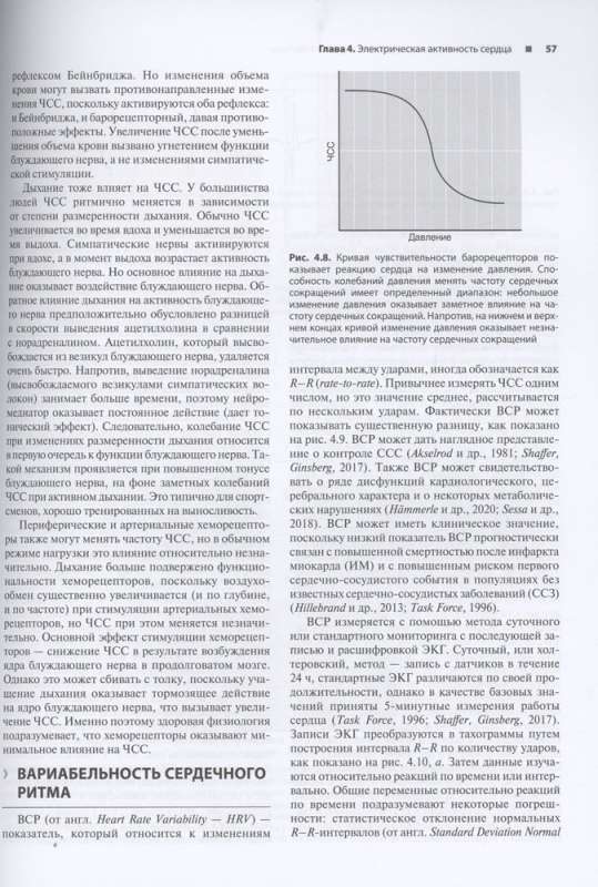 Сердечно-сосудистая система. Анатомия и физиология в покое и при физических нагрузках