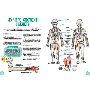 Удивительные энциклопедии. Невероятное тело человека