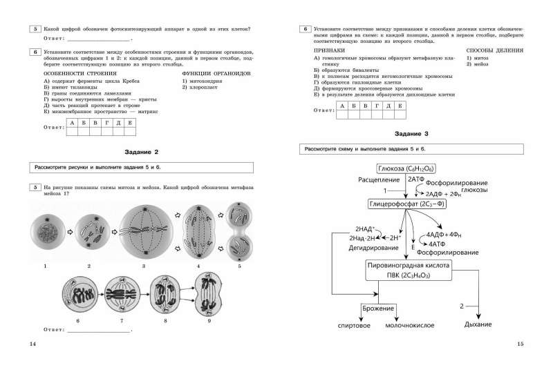ЕГЭ-2024. Биология. Тематические тренировочные задания