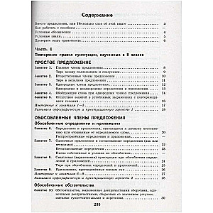 Русский язык. 9 класс. К пятерке шаг за шагом, или 50 занятий с репетитором