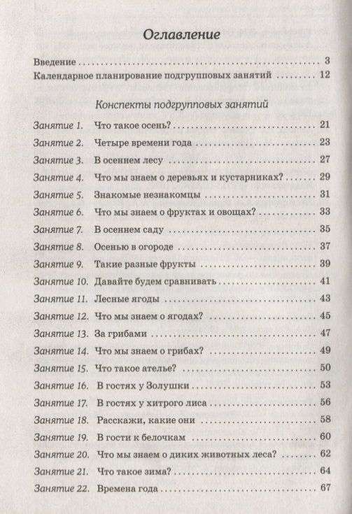 Развиваем связную речь у детей 6-7 лет с ОНР. Конспекты подгрупповых занятий логопеда