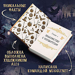 Я получил сову! Фанбук по волшебному миру Гарри Поттера