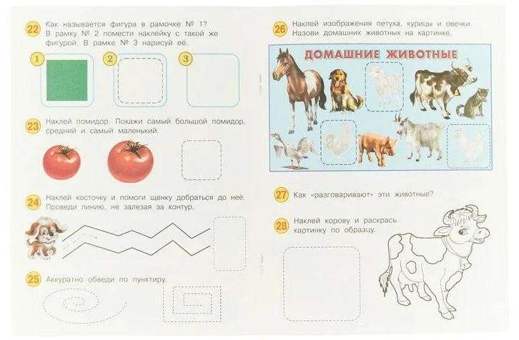 Развивающие задания с наклейками. 3 года