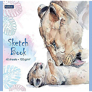 Premium Блокнот SketchBook 40л А5ф 165х165мм 