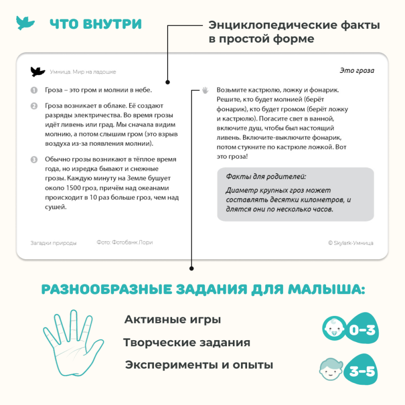 Мир на ладошке. Развивающие карточки для малышей. Загадки природы и Спецтехника