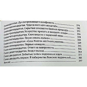 Рыцари городских кварталов. Книга 4. Шкатулка с секретом