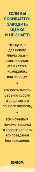 Гладь, люби, хвали. Полное руководство по воспитанию собак и решению собачьих проблем. Комплект из 2 книг