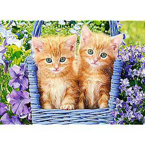 Пазл Ginger Kittens 60 дет.