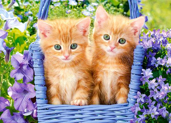 Пазл Ginger Kittens 60 дет.