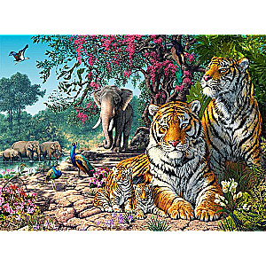 Пазл Tiger Sanctuarys 3000 дет.