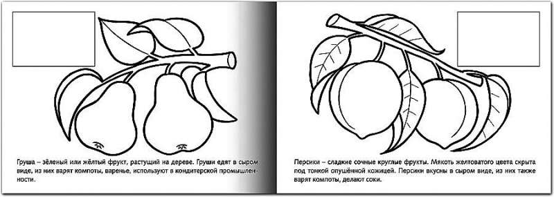 Раскраска с наклейками. Фрукты