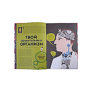 Тело человека. Как работает наш удивительный организм