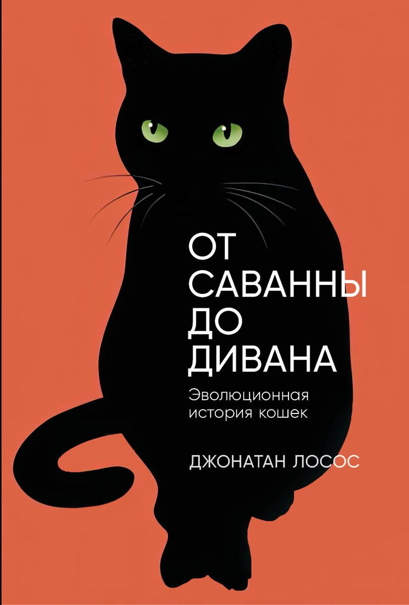 От саванны до дивана: Эволюционная история кошек