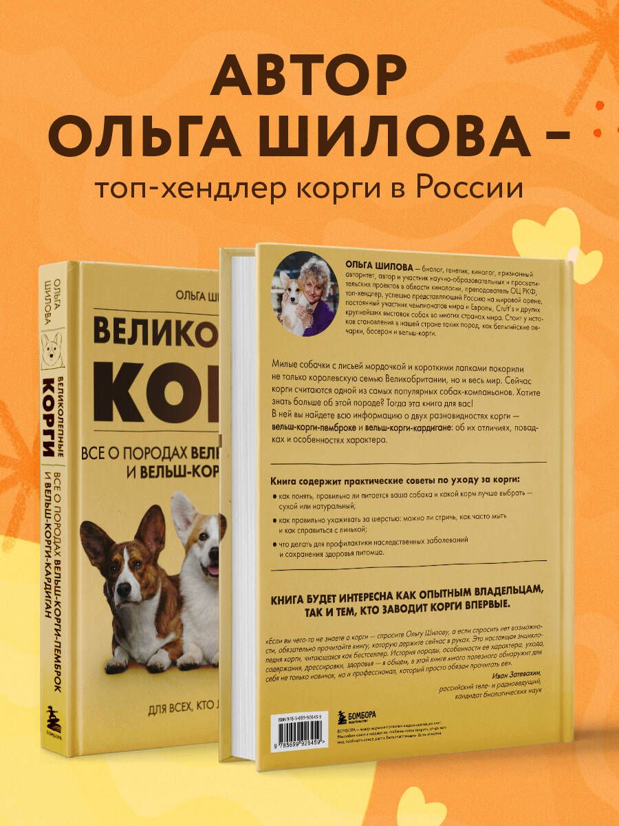 Великолепные корги. Все о породах вельш-корги-пемброк и вельш-корги-кардиган