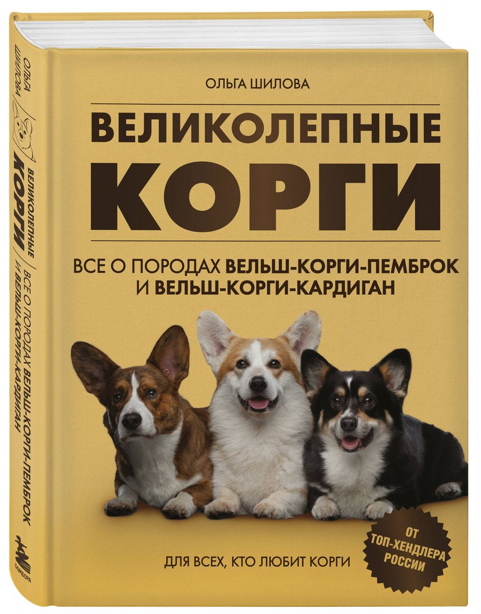 Великолепные корги. Все о породах вельш-корги-пемброк и вельш-корги-кардиган