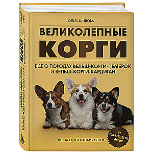 Великолепные корги. Все о породах вельш-корги-пемброк и вельш-корги-кардиган